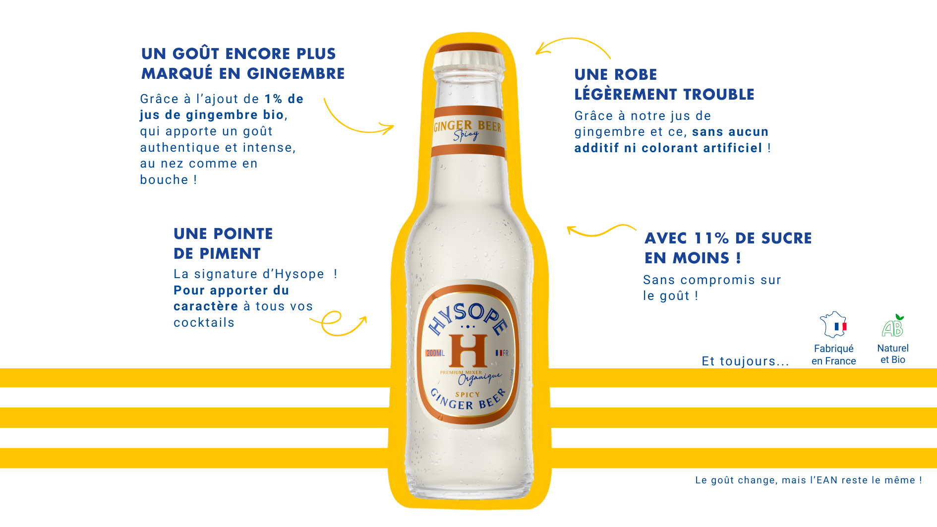 La nouvelle recette de la Ginger Beer Spicy Hysope expliquée en détails